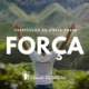 Versículos de Força na Bíblia - Nova Versão Internacional