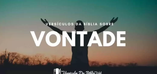 Versículos Sobre a Vontade de Deus - Nova Versão Internacional (NVI)
