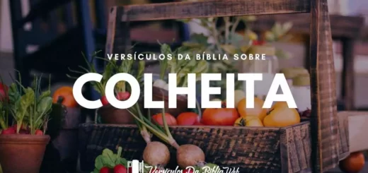 Versículos da Bíblia Sobre a Colheita