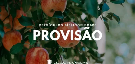 Versículos Sobre Provisão de Deus - Nova Versão Internacional (NVI)